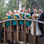 fat wedding
